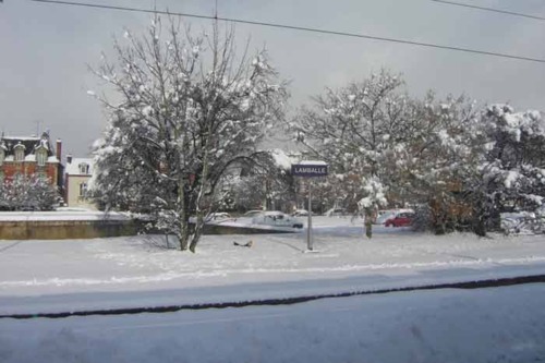 Serendou sous la neige