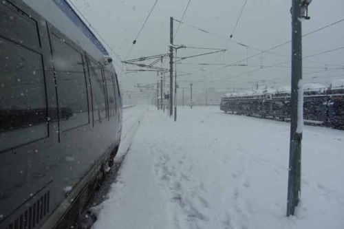 Serendou sous la neige