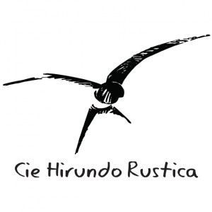 hirundo