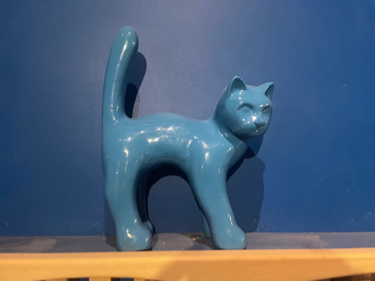 Chat Bleu