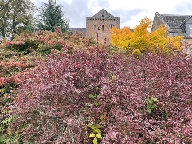Abbaye jardin